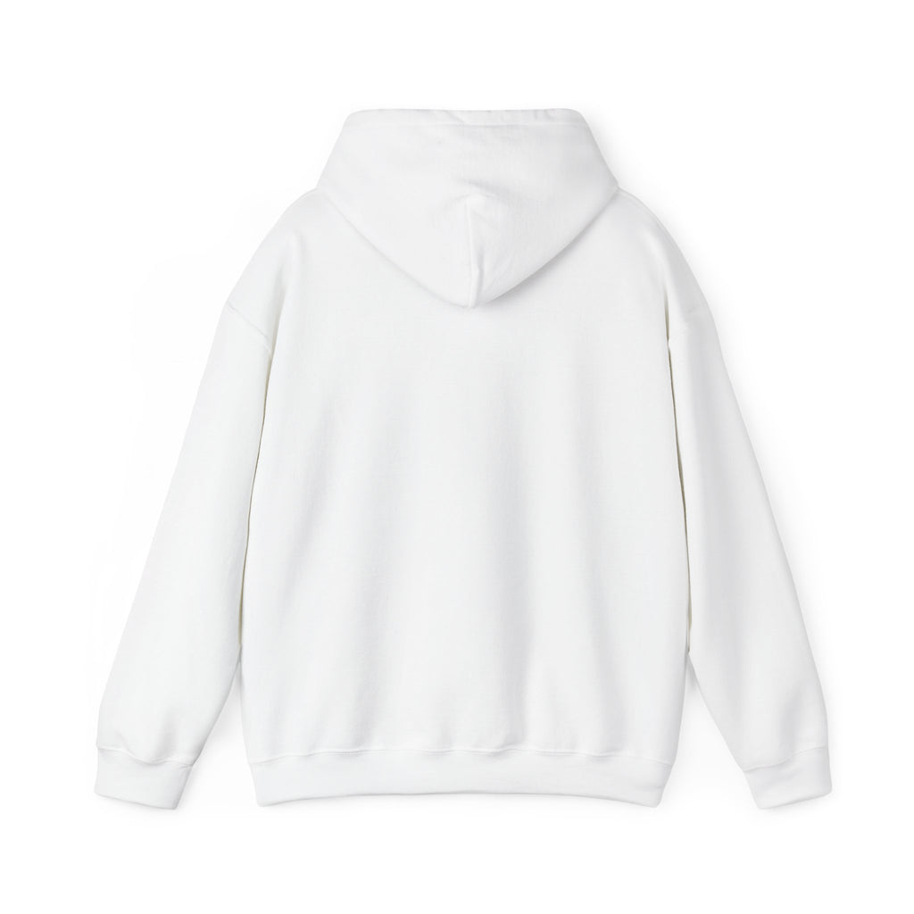 Pickleball Hoodie — “Long Handle. Zero Game.” Graphic Hooded Sweatshirt