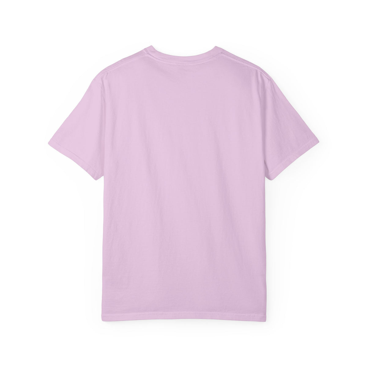 We Lost 0–11 You're Welcome T-Shirt