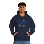 Pickleball Hoodie — “Your HOA Hates My Balls.” Funny Neighborhood Pickleball Sweatshirt